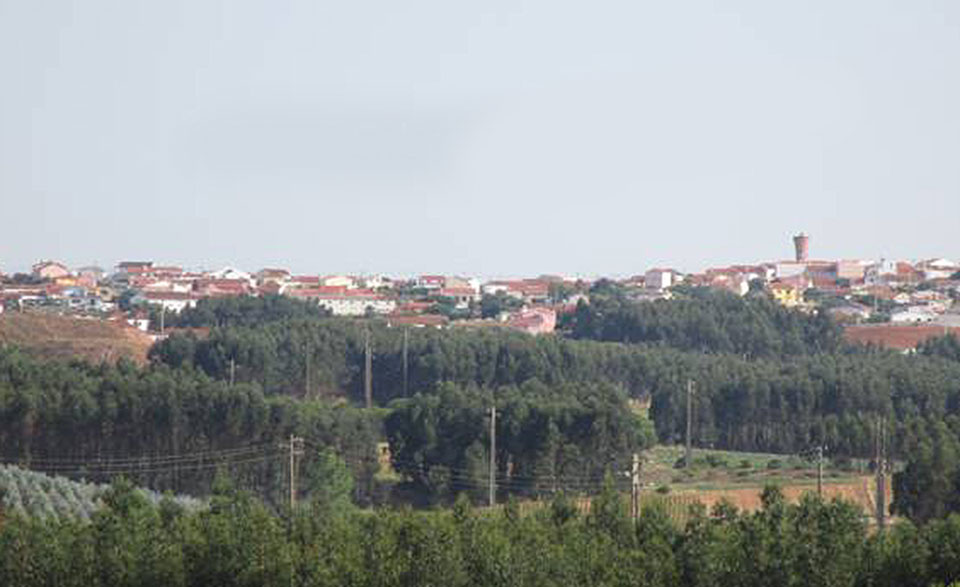 UF Campeloas Outeiro Cabeca Gorda