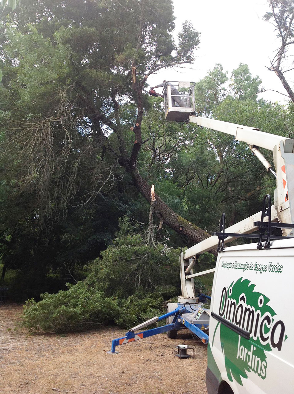 dinamica jardins 3